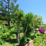 Sa Vinyeta De Son Jaumell